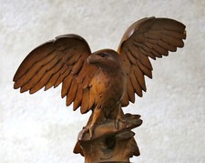 AIGLE FORET NOIRE, très bel