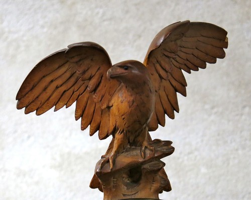 Aigle foret noire très bel - aigle,