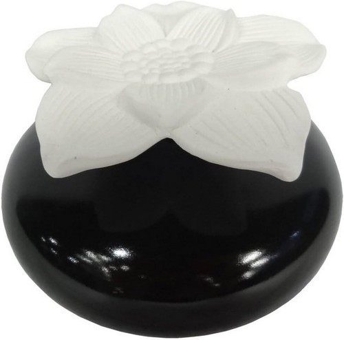 Diffuseur huiles - diffuseur, d'huiles
