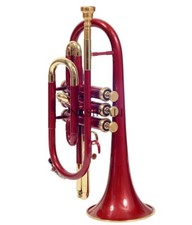 Cornet RED BRASS Bb FLAT NICKEL Expert's Choice + étui rigide + embout buccal