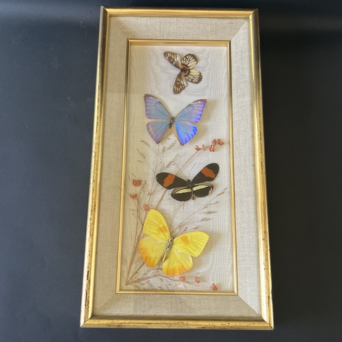 Cadre vintage papillons - cadre,