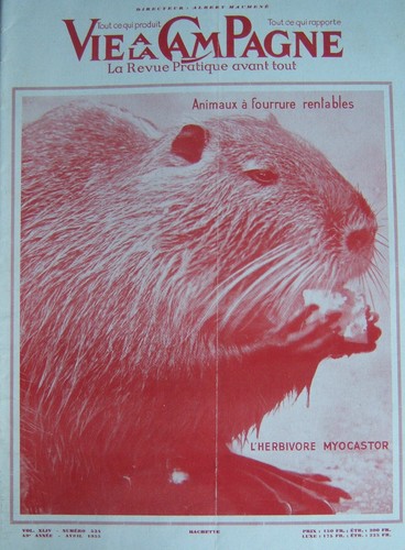 Vie campagne 1955 - vie,