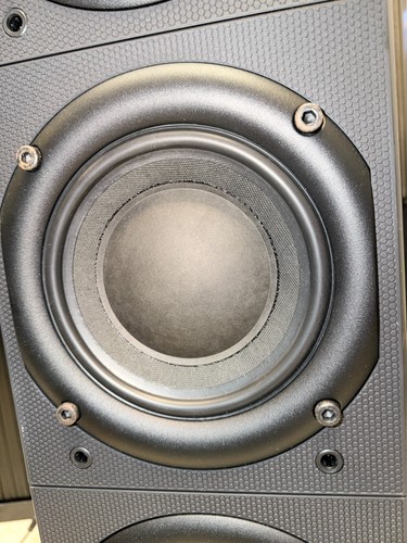 Boomer woofer bowers - 1, b&w