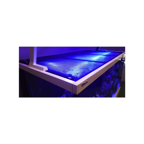 Red sea tank net screen - sea,