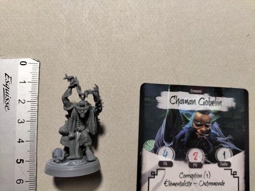 Chaman gobelin figurine 1 - gobelin, +1