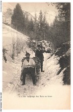 ARZP15-0963-SKI - WOOD SLEDGING IN WINTER