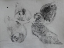 Hélène Rivière (1896-1977)