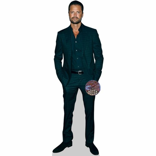 David charvet silhouette - david,