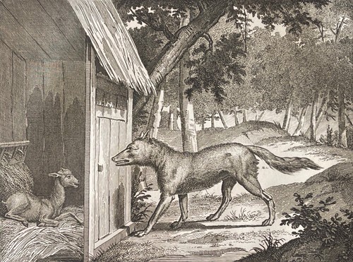 Loup chèvre et le - le,