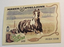 2019 Mares & Stallions Irish