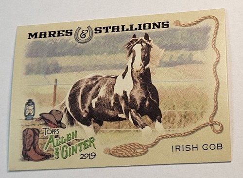 2019 mares stallions - mares,