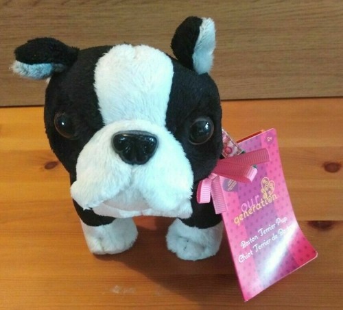 Notre chiot boston terrier - notre,