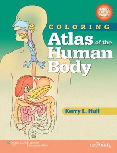 Atlas coloration corps - coloration,