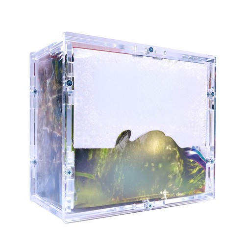 Protection pour pokemon - protection,