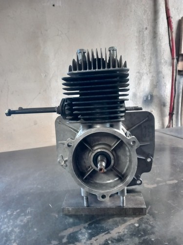 Moteur motostandard gutbrod - motostandard, 2