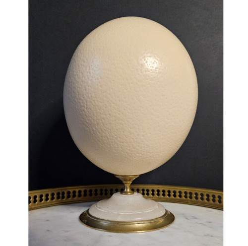 Oeuf autruche socle en - d'autruche,,