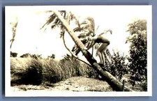 Hawaii, Honolulu, Girl Scout