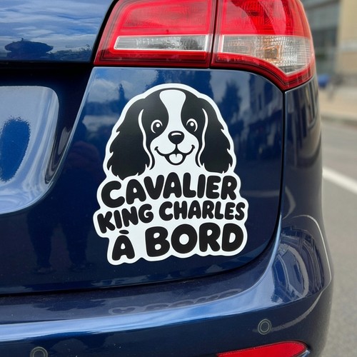 Sticker cavalier king - 1,