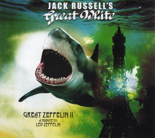 Jack russell great white - jack,
