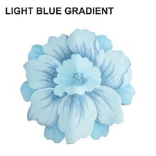 Tapis Tapis Tapis Fleur Salon Antidérapant Doux Salle de Bain Chambre Vestiaire