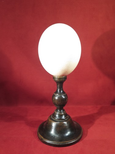 Oeuf autruche monte sur pied - d'autruche,