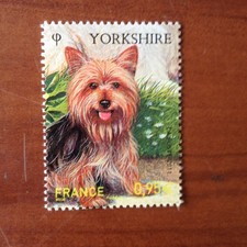 France 4548 ** Chien Yorkshire  en 2011