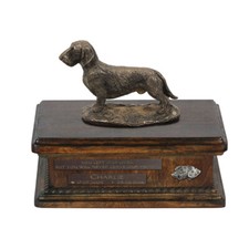 Teckel à poil dur une urne en