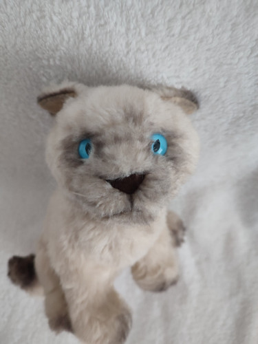 Doudou peluche vintage - vintage, chat