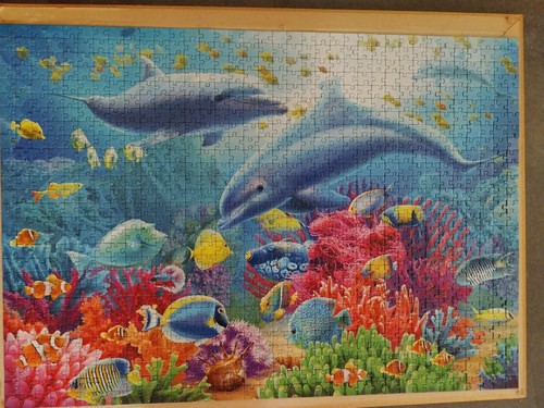 Puzzle 1000 pièces - 1000, dauphins