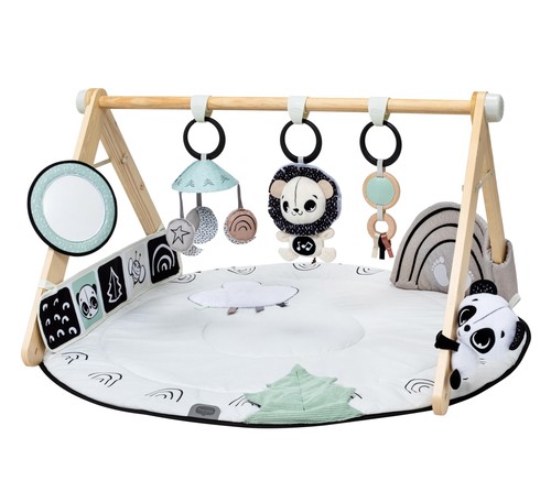 Tiny love luxe developmental - tiny,