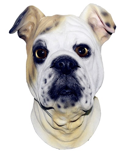 Bouledogue masque chien latex - masque,