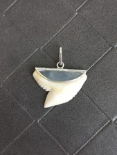 pendentif dent de requin bijou