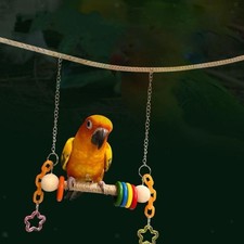 Balançoire pour cage à