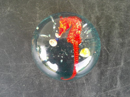 Inclusion resine hippocampe - en,