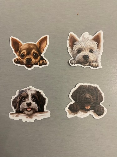 Autocollants stickers - ,
