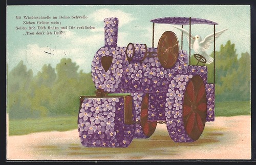 Carte postale pigeon - , voyageur