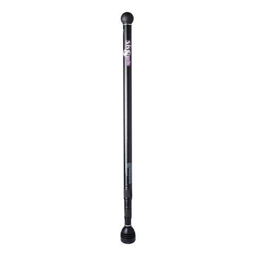 Sk8pole longboard land paddle - sk8pole,