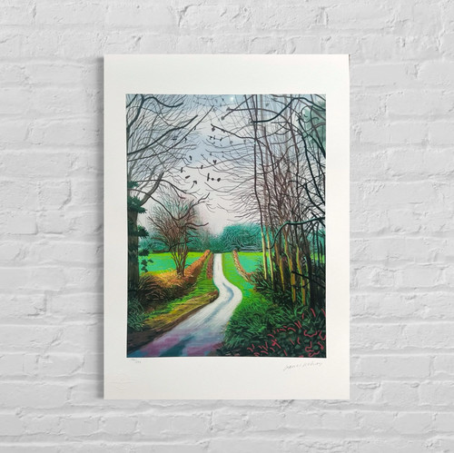 David hockney arrivée - arrivée, du