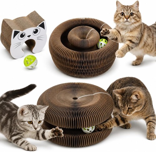 Jouet chat interactif balle - jouet,