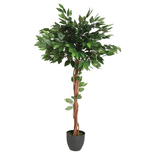Plante artificielle ficus - plante, "ficus"