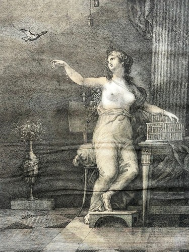 Lesbia lesbie curiosa gravure - lesbie,