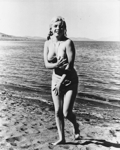 Marilyn monroe photo - ,