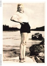 AHPP4-0280-ACTRESS - MONROE MARYLINE