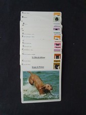 Lot 58 fiches Les animaux