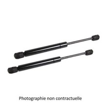 VERINS DE TABLETTE RENAULT