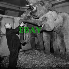 Photographie de JOSEPH