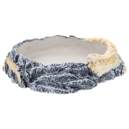 Plat eau tortue - plat,