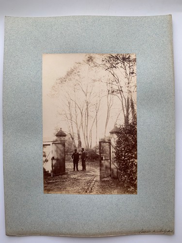 Photo albumine barriere l - albumine,