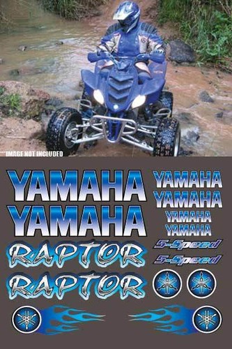 Raptor blue full color - full, 16pc
