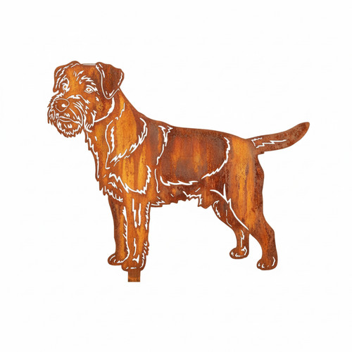 Border terrier rouille - terrier,